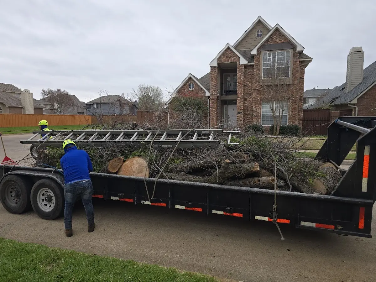 Expert Tree Fertilization with proper safety equipment in Watervliet